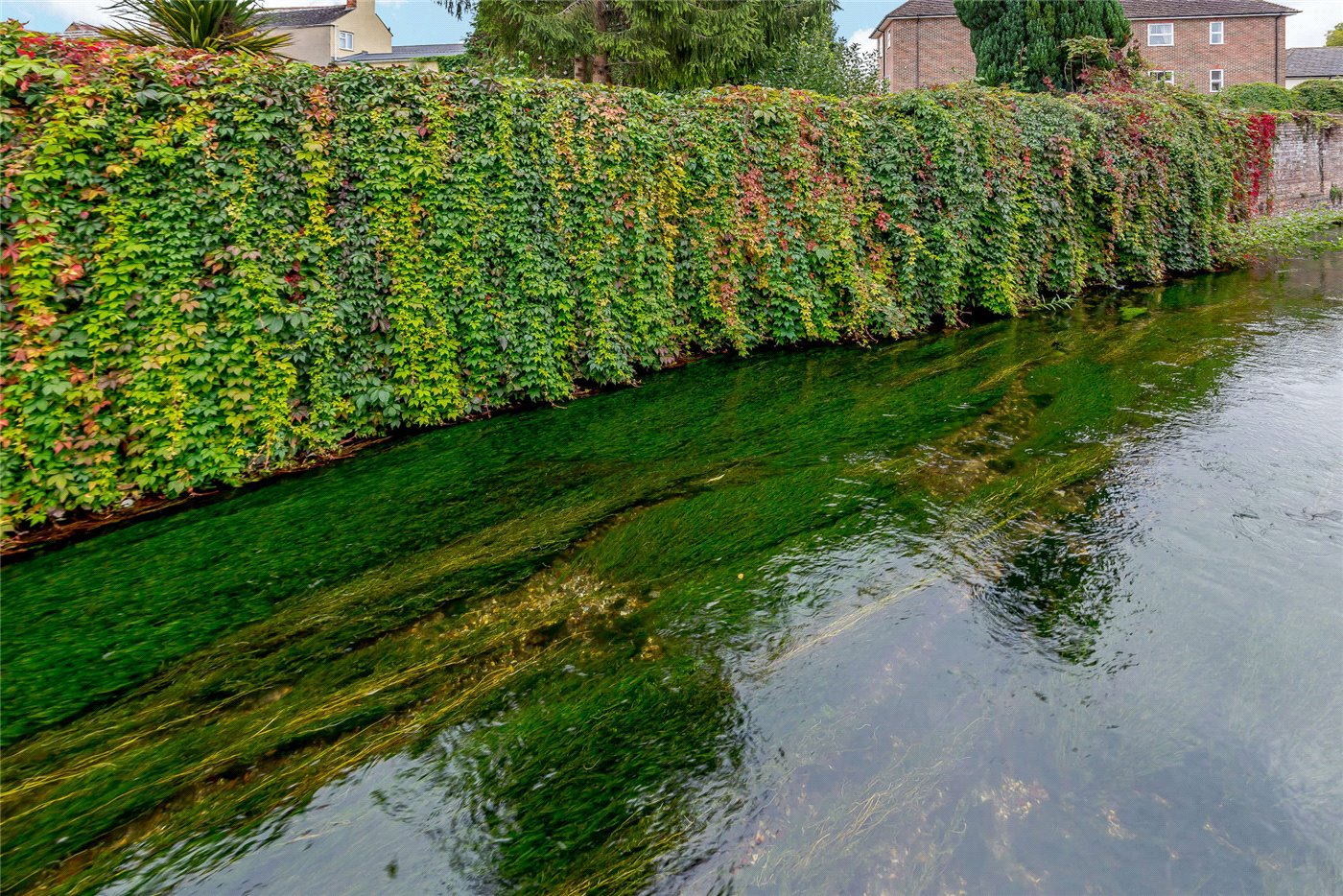 River Avon